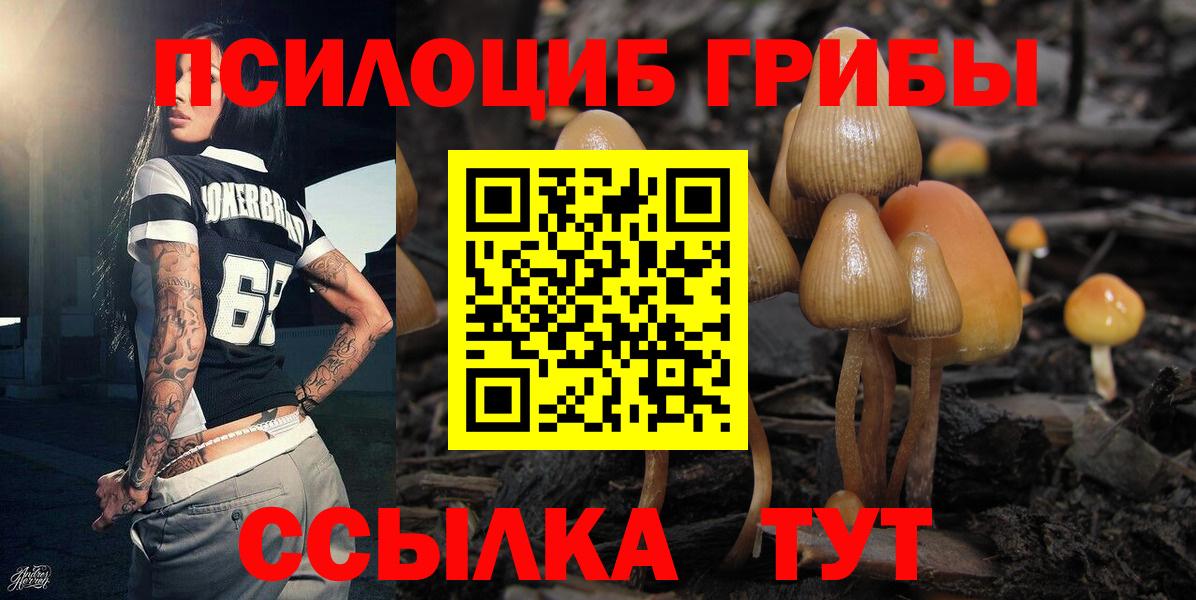 Псилоцибиновые грибы мицелий  Вход с VPN  Псилоцибиновые грибы Psilocybe  Лысьва 